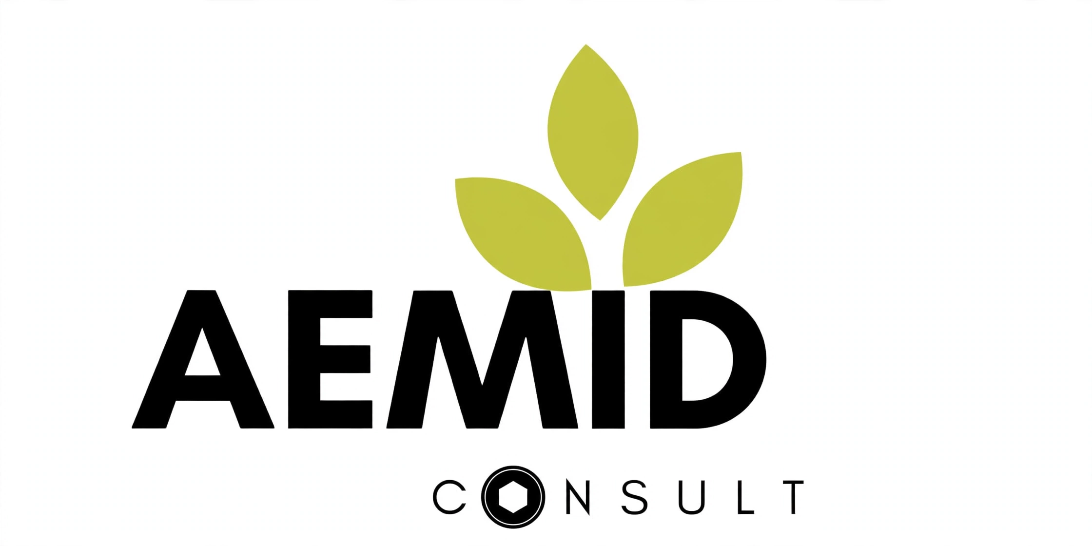 AEMIDR and Aemid Consult